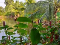 Plernsalaya Resort Hotels in Phutthamonthon