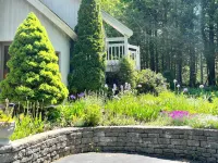 Sunny Peace B&B Hotel a 