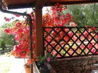 King's Hotel Hotels in Golfo Aranci