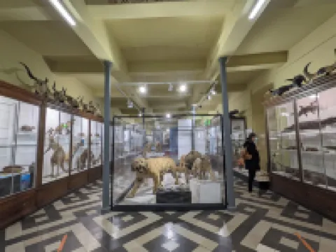 Le Grand Hôtel Dieu by SOWELL COLLECTION