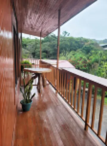 Cabinas Selva Verde