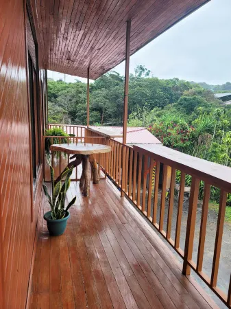 Cabinas Selva Verde Отели рядом с достопримечательностью «San Luis Waterfall»