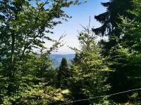 Quiet new studio 2 minutes from town center, 20 minutes from Colmar, Hotels in Guebwiller