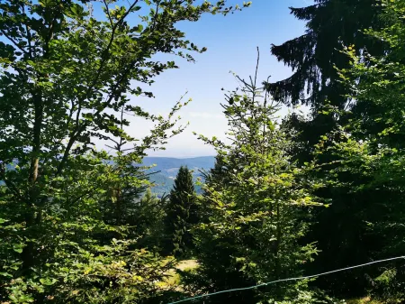 Quiet new studio 2 minutes from town center, 20 minutes from Colmar,