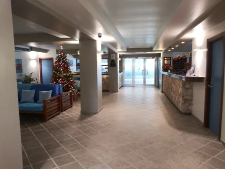 Tropical Gem! Watch Jets Fly into Airport+Ocean Beach+Garden Views+Many Perks!!!