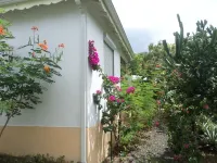 Detached apartment in villa Hotels in Deshaies