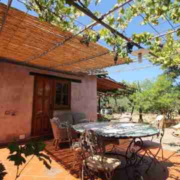 Cosy cottage surrounded by nature, 100 meters from the sandy beach Hotel Exterior