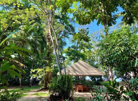 Pura Vida Boho Beach Penthouse Dream