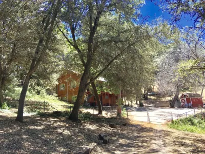 Pet/Family Treehouse style cabin in woods Hotels near Lone Pine