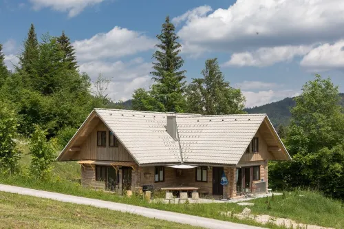 ALMHÜTTE IN THE NATIONAL PARK JULIAN ALPN -BOHINJJ