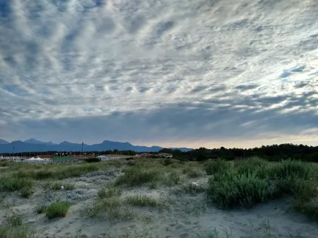 300 mt from the sea, terrace in the green in Viareggio.