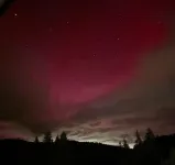 Ferienwohnung Schwarzwald Hotels in Hinterzarten