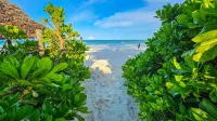 Zanzibar Retreat Hotel - Beach