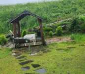 Buyeo Eoksae Jeongwon Pension Hotels in Buyeo-gun