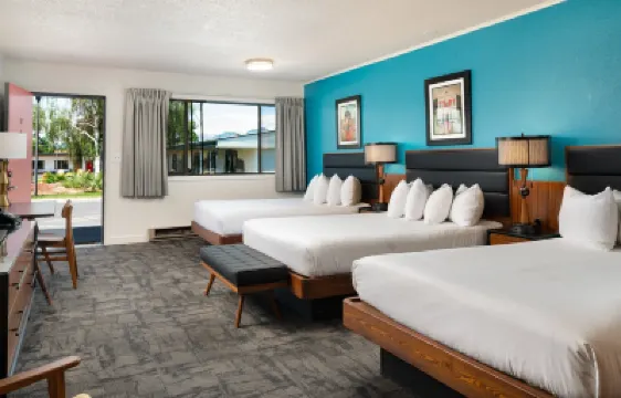 로열 7 버짓 인 모텔  호텔