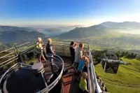 Hotel Waldegg - Adults Only - Mountain view