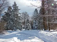Millbrook Country House