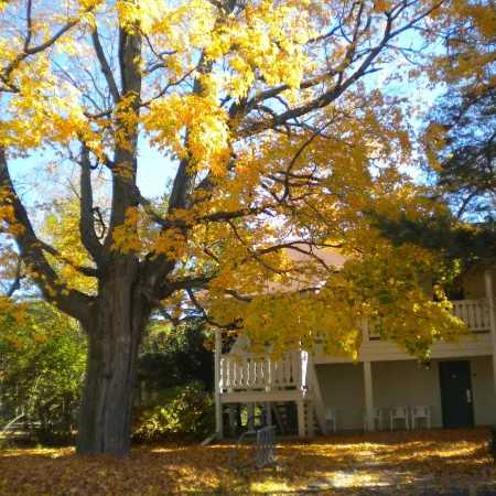 Parkwood Lodge