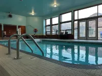 Kings Motor Inn - piscine