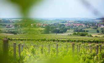 Winzerstube Familie Schilling