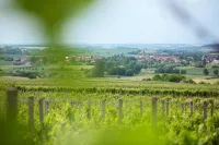 Winzerstube Familie Schilling Hotels in Marktbreit