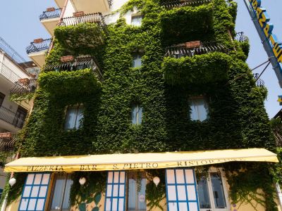 Hotel San Pietro
