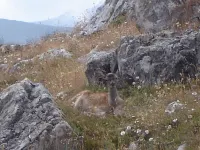 Vaquero Casa Rural Alquiler Completo Hotels in Campoo