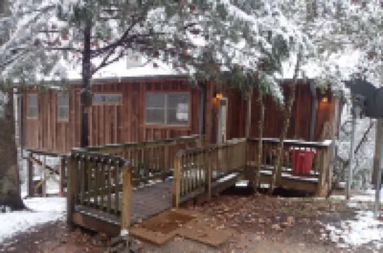 Peace-in-the-Forest Retreat - Singles, Couples, Artists, Forest Lovers