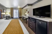 Comfort Inn & Suites Near Universal - N Hollywood - Burbank Hotels in Sun Valley