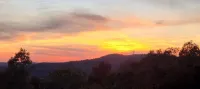 Exquisite views of Shawnee National Forest seen from a private, covered hot tub.