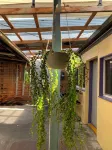 Tramstop14 Backpackers Hotels near Australian Catholic University Melbourne Campus