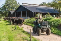 Stylish Farmhouse Escape Hotels in Wierden