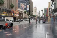 Chic and Cozy 1br1ba apartment