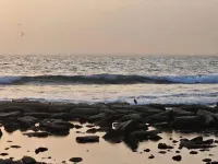 Studio Meublé à Yenne Dakar Auprès de la Plage Pied Dans L'eau