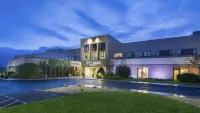 Diamond Coast Hotel Hotels in 