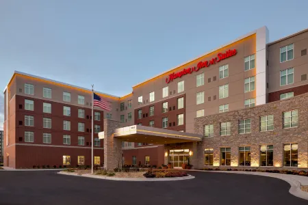 Hampton Inn & Suites Rosemont Chicago O'Hare Отели рядом с достопримечательностью «Театр Роузмонта»