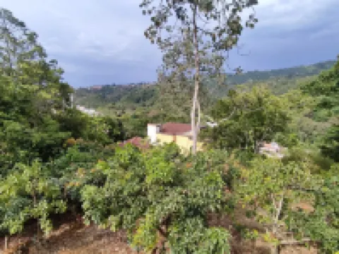 Charming House, Convenient Location in Bucaramanga