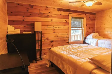 Breathe deep, stay cozy — spacious log cabin living on 30 acres in Aroda, VA