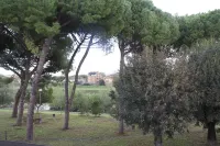 Apartment Stella: Strategic location located between Florence, Vinci, Pisa and Livorno Hotels in Vinci