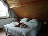 Gite du Hengst, near Colmar Between villages and castles Hotels in Wintzenheim