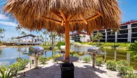 Newly Renovated Penthouse D42 with Beautiful Views of the Gulf!