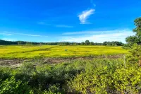 Quaint and Convenient! Cape Cod Apt Near Canal