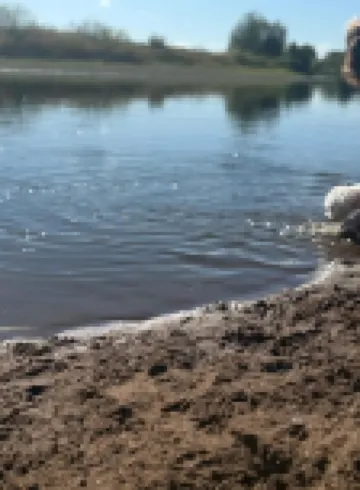 Cozy vacation apartment in the heath