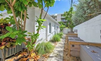 Islands Inn on the Drive