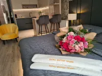 Wellness Apartments - Studio Apartment with Terrace (G3) Hotels in Varazdin