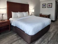 Comfort Suites Baymeadows Near Butler Blvd - 2-Star