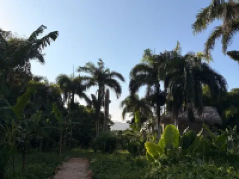 Dominican Jungle Resort Hotels in El Limon