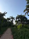 Dominican Jungle Resort