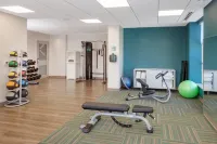 Holiday Inn Express & Suites DOWNTOWN OTTAWA EAST by IHG - gimnasio
