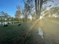 Seehorse Meadows, a Farm Stay in Churchable! Hotels in Gatton